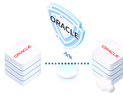 Ark Data, Data Integration Platform Vendor