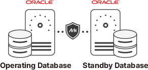 Ark for Oracle, Oracle DB Replication Tool