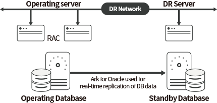Ark for Oracle, Oracle DB Replication Tool