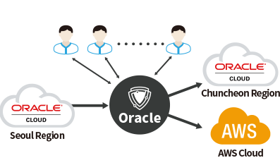 Ark for Oracle, Oracle DB Replication Tool