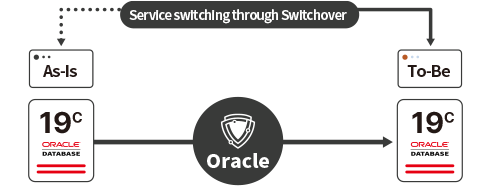 Ark for Oracle, Oracle DB Replication Tool